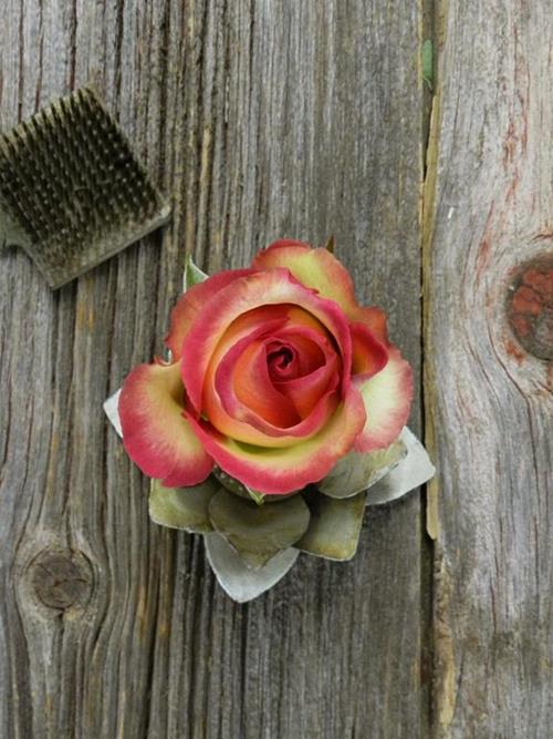 PRIME TIME  BI-COLOR WHITE/HOT PINK/GREEN ROSES